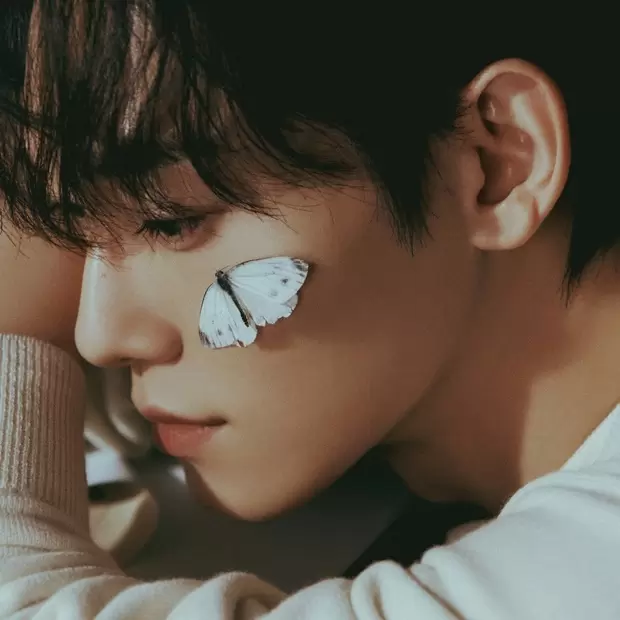 썸네일이미지